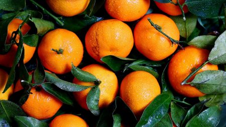 10 alimentos ricos en vitamina C y sus increíbles beneficios para tu salud - Untitled design e