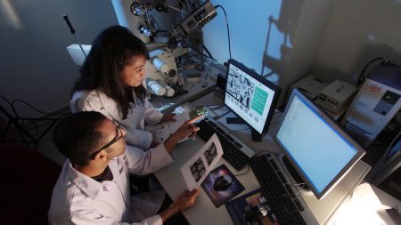 Todo lo que necesitas saber sobre qué es aminoácidos - Untitled design e