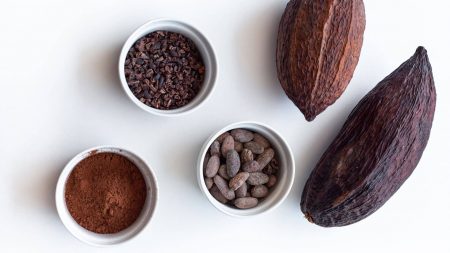 Teobromina: Qué Es y Cómo Afecta Tu Cuerpo - Untitled design e