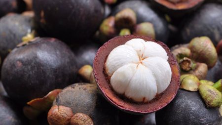 Conoces el Mangostán: Aprende Para Qué Sirve y Cómo Usarlo - Untitled design e