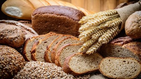 Nutrición y bienestar: Explorando los beneficios del pan ezequiel - Untitled design e