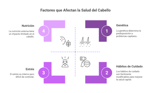 Calculadora de salud capilar - Factores que Influyen en la Salud Capilar visual selection Calculadora de salud capilar - Factores que Influyen en la Salud Capilar visual selection