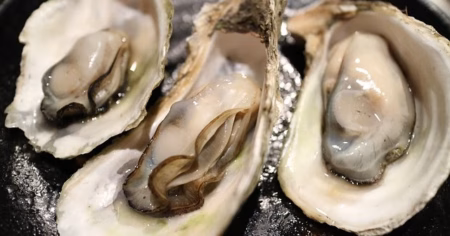 Ostras y Sus Beneficios: Fuente Natural de Nutrientes y Energía - ostras