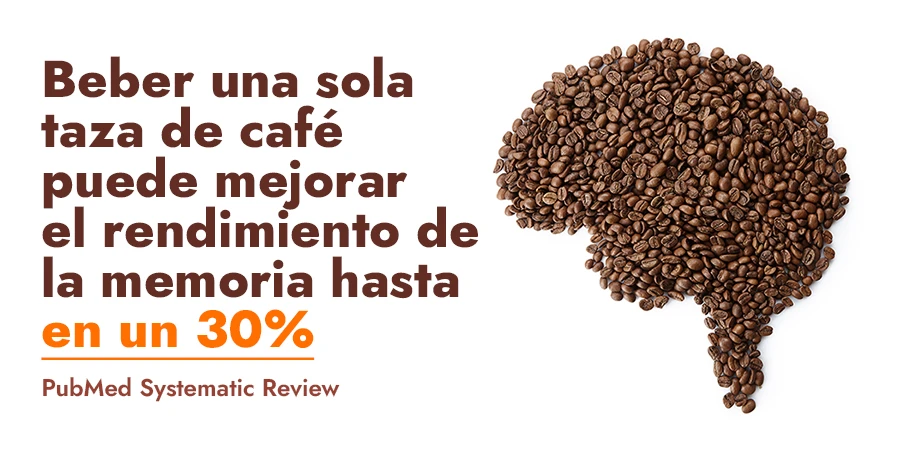 Cómo mejorar la memoria y fortalecer el sistema nervioso - memory coffee ES Cómo mejorar la memoria y fortalecer el sistema nervioso - memory coffee ES