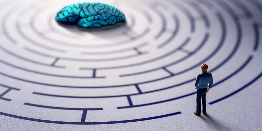 Cómo mejorar la memoria y fortalecer el sistema nervioso - memory labyrinth Cómo mejorar la memoria y fortalecer el sistema nervioso - memory labyrinth