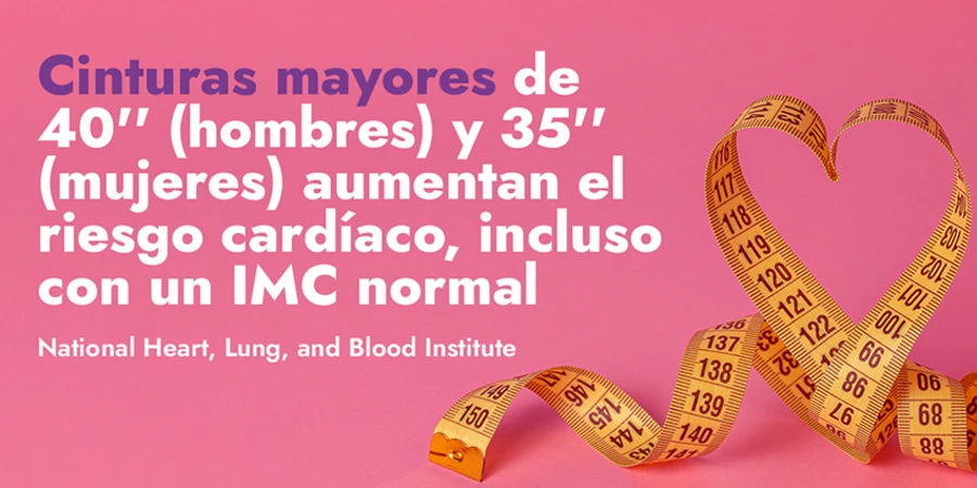 10 recomendaciones probadas para mantener un corazón saludable y fuerte - waist size heart health es 10 recomendaciones probadas para mantener un corazón saludable y fuerte - waist size heart health es