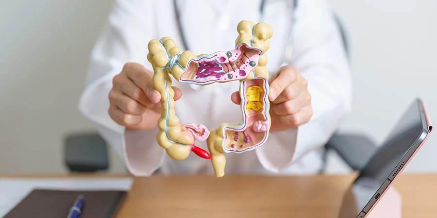 Formas sencillas de mejorar la digestión - AdobeStock