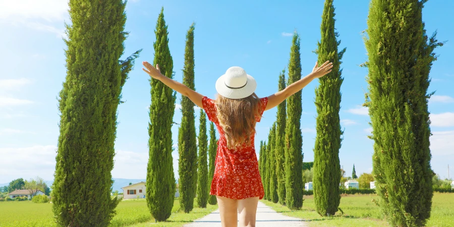 Las Mejores Vitaminas para el Verano - AdobeStock Las Mejores Vitaminas para el Verano - AdobeStock