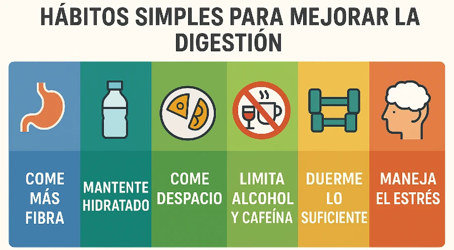 Hábitos simples para mejorar la digestión de manera efectiva - digestion mx