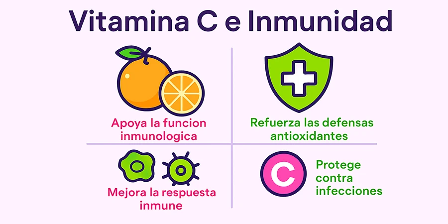 ¿Cómo afecta realmente la vitamina C al sistema inmunológico? - vc info es