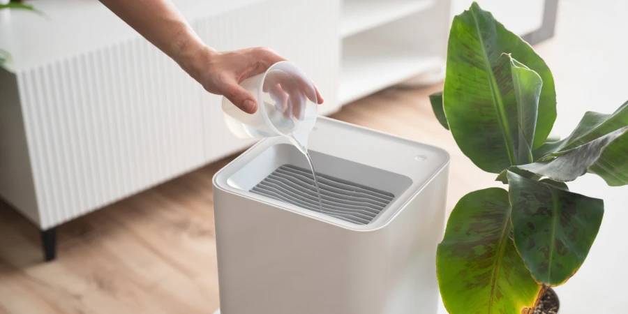 ¿Qué es la amigdalitis y cómo tratarla? - humidifier