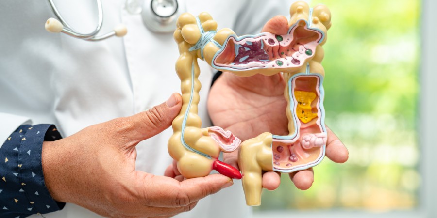 8 Beneficios para la salud del vinagre de manzana avalados por la ciencia - acv gut health