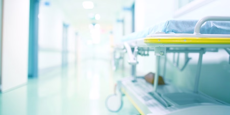 Lo que necesita saber sobre las picaduras de pulgas - image